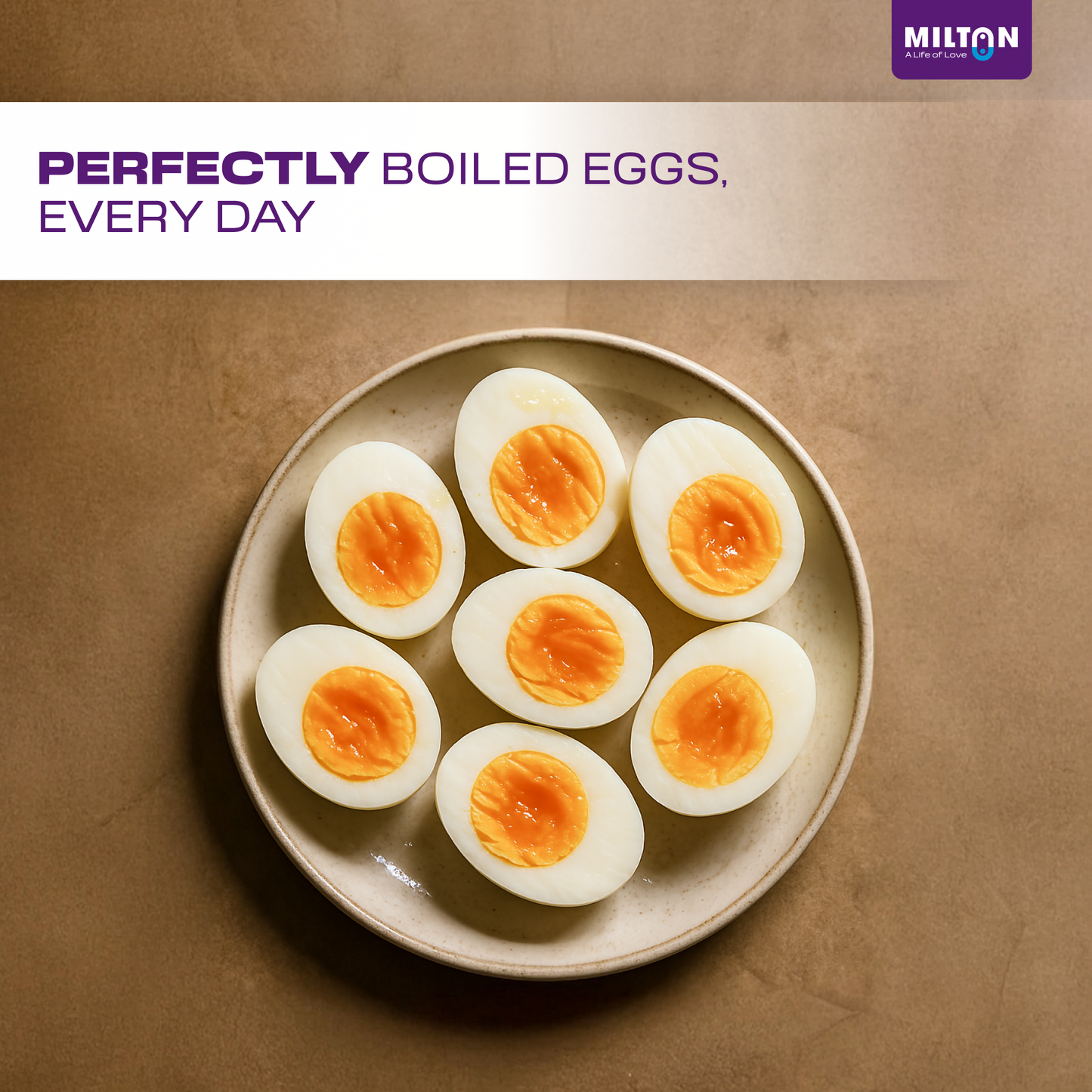 Milton Smart Instant Egg Boiler | Boiler Instant Smart